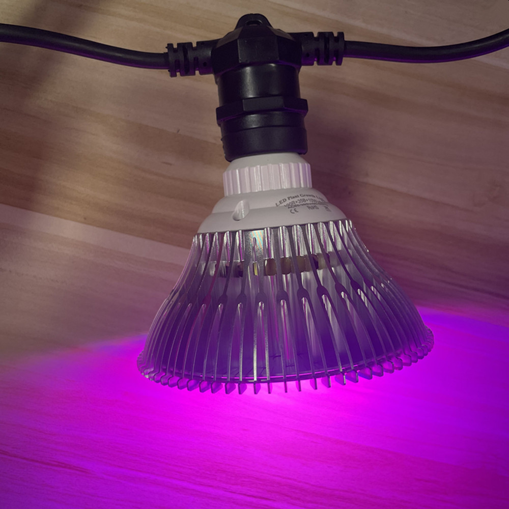 10M 케이블 LED 스트링 조명, 상업용 등급 방수, - Outdoor Power Outlet 리뷰 및 가격